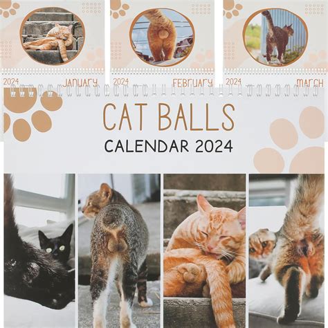 Cat Balls Calendar New Funny Cat Calendar Wall Cat Butt Calendar Decorative Cat Butthole