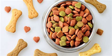 22 Best Tasting Dry Dog Foods Palatability Tastiness For Picky Eaters