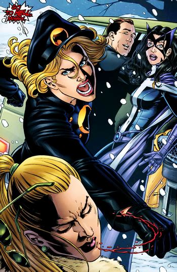 Birds Of Prey Characters Tv Tropes