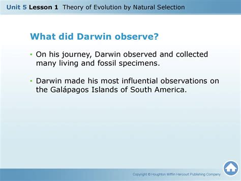 Darwins Voyage What Did Darwin Observe Ppt Download