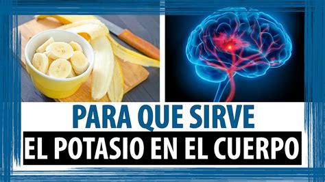 Beneficios Del Potasio En El Cuerpo Humano Nutricion Reverasite