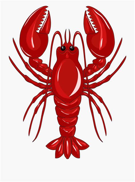 Download High Quality Lobster Clipart Crab Transparent Png Images Art