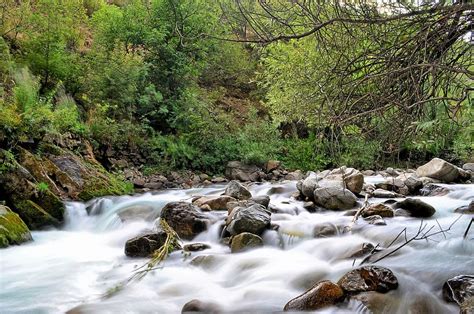 Free Download River Landscape Turkey Nature Green Open Air