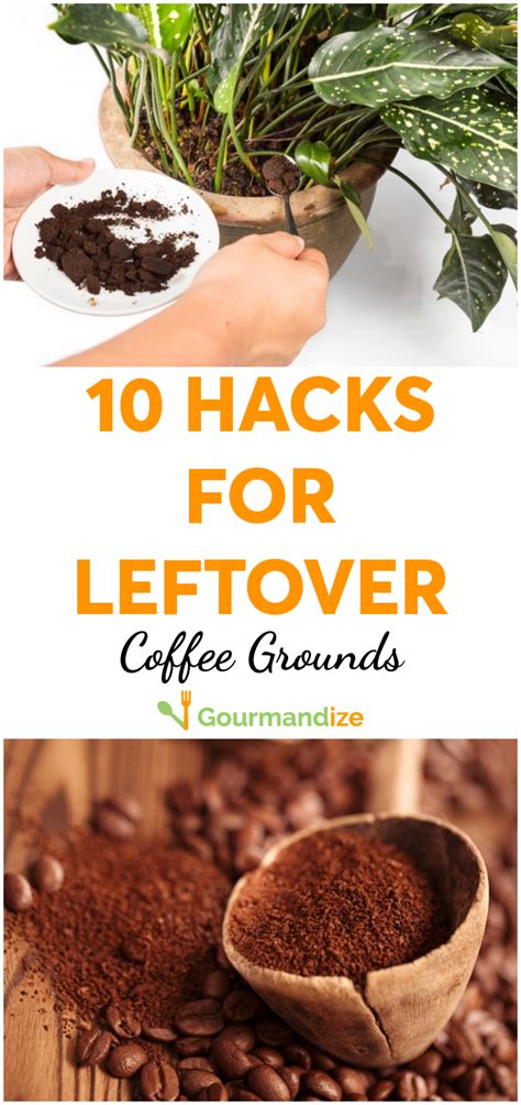 Wondering What To Do With Those Leftover Grounds Here Are 10 Ways To