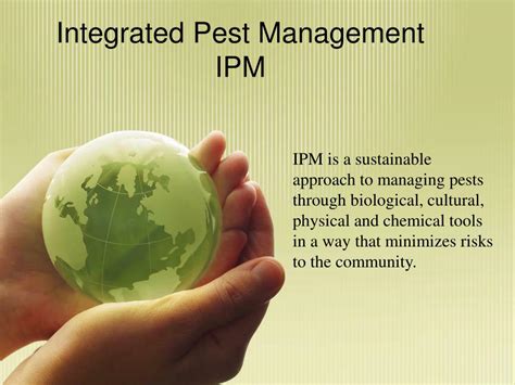 Ppt Integrated Pest Management Ipm Powerpoint Presentation Free