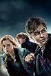 Harry Potter and the Deathly Hallows: Part 1 (2010) - Posters — The ...