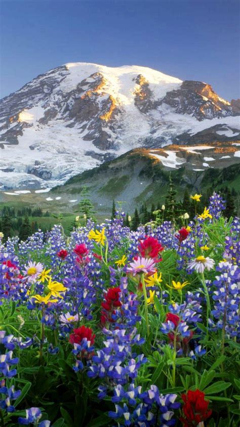 Free Download Spring In Mountains Wallpaper 116576 Hd Wallpapers 1600x1200 For Your Desktop