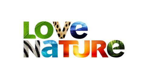 Love Nature This New 4k Svod Service Is For You Where To Watch
