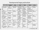 Developmental Stages and the Brain | Tim Burns – Educare