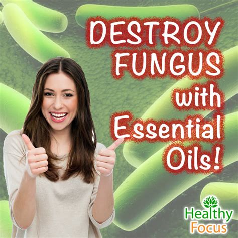 The 11 Most Powerful Antifungal Essential Oils Healthy Focus