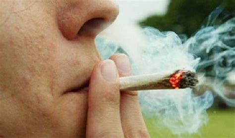 Bajó El Consumo De Tabaco Pero Subió El De Marihuana En La Argentina
