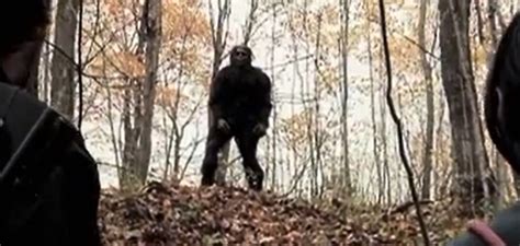 Possible Bigfoot Howls Recorded In Minnesota