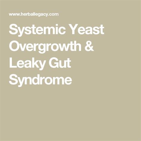 Systemic Yeast Overgrowth And Leaky Gut Syndrome Leaky Gut Syndrome