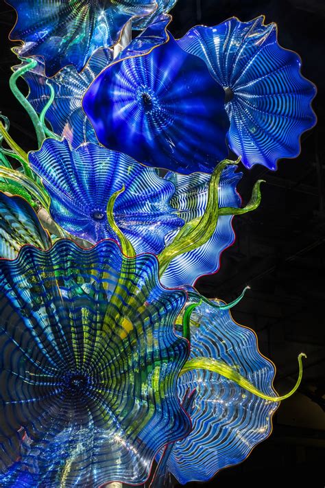 Grand Exhibition By American Artist Dale Chihuly At Gardens By The Bay Connected To India News