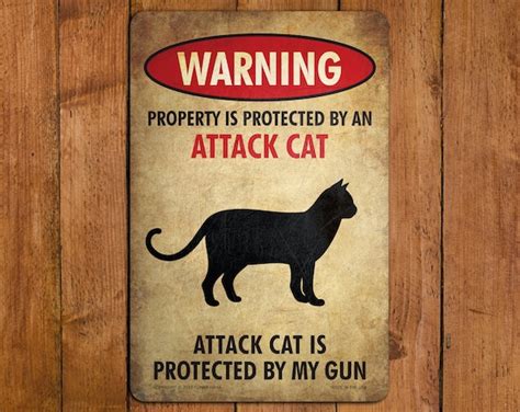 Beware Of Cat Funny Metal Sign Etsy