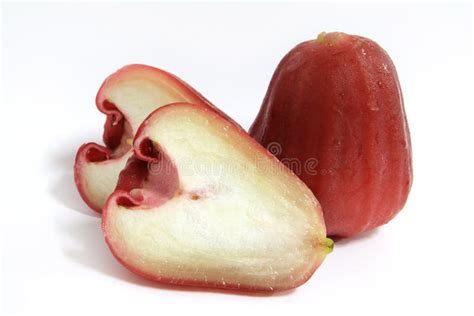 Red Rose Apple Stock Image Image Of Eating Apple Tropical 22663413