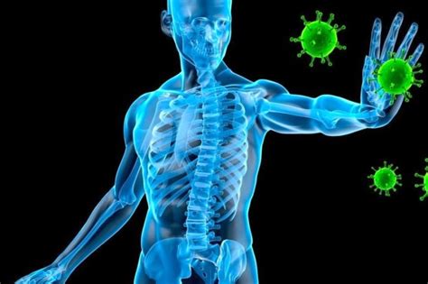 El sistema inmunológico La importancia de las vitaminas Vitae Health Innovation