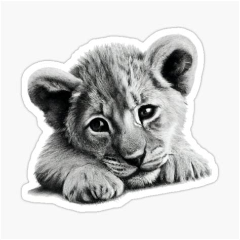 Share 71 Lion Cub Sketch Best Vn