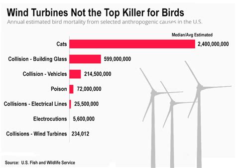 Annually Cats Kill 10000 Times More Birds Than Wind Turbines Klbk