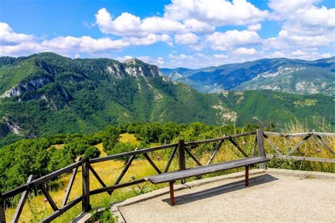 10 Most Beautiful Forests In Bulgaria