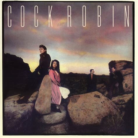 Cock Robin Expanded Cock Robin Cd Album Muziek