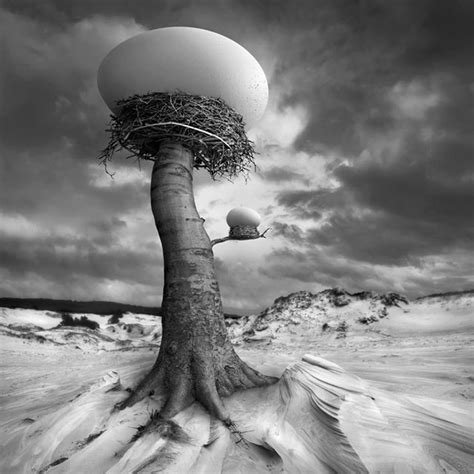 A Bela Fotografia Surreal De Dariusz Klimczak Manipula O De Fotos