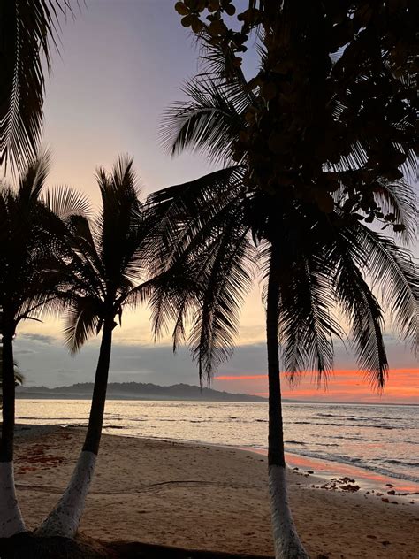 Travel Backpacking Sunset Costarica Beach Palmtrees Costa Rica