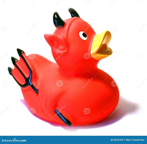 Evil Duck Royalty Free Stock Images Image 6933749