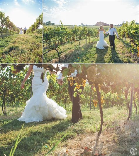 Outdoor Winery Wedding Photos In The Vinyards Winery Wedding Photos