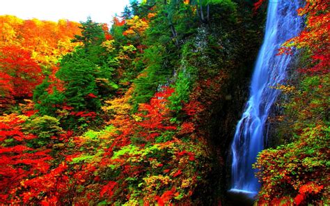 Waterfall In Autumn Forest Wallpaper And Background Image