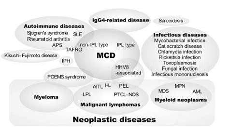 Images Of The Disease Entities Of Multicentric Castlemans Disease And