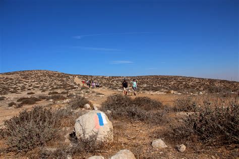 Halbtageswanderung Am Shvil Israel Vom Yatir Forest Nach Tel Arad 14