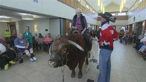 Therapy Bull Inspires Seniors To Grab Life By The Horns Cbs News
