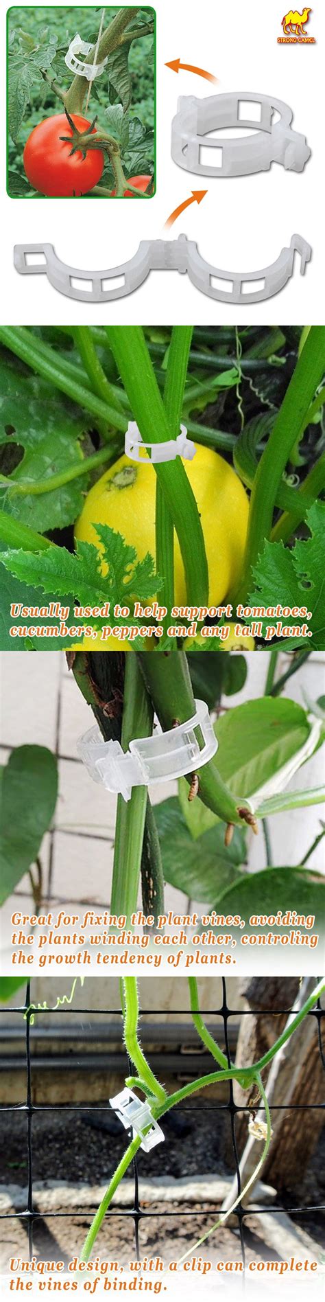 Plant Ties And Supports 181001 Plant Support Garden Clips 25mm Tomato