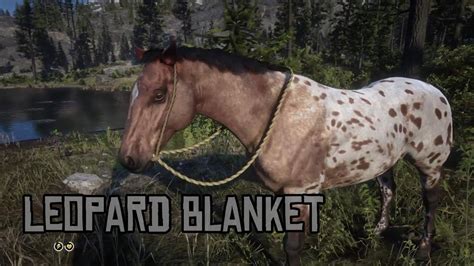 Acquiring Leopard Blanket Appaloosa At Cattail Pond Red Dead Redemption Youtube