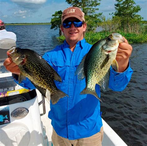 Lure Review: Hamma Heads - Louisiana Sportsman