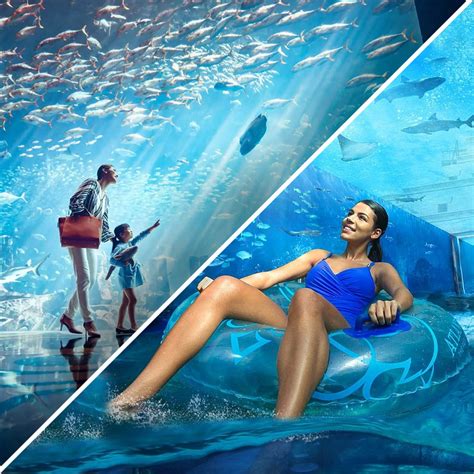 Make A Splash On Your Birthday Exclusive Atlantis Aquaventure Birthday Offers Await Your