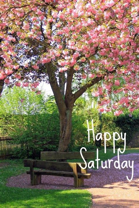Pretty Happy Saturday Quote Pictures Photos And Images For Facebook