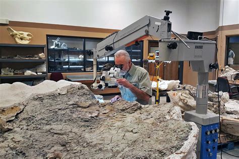 Utah Paleontologists Turn To Crowdfunding For Raptor Project The New