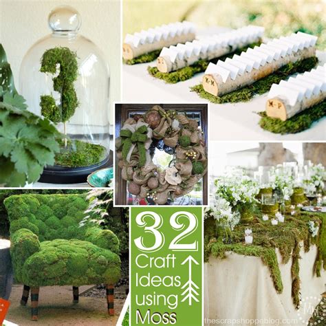 32 Crafts Ideas Using Moss The Scrap Shoppe