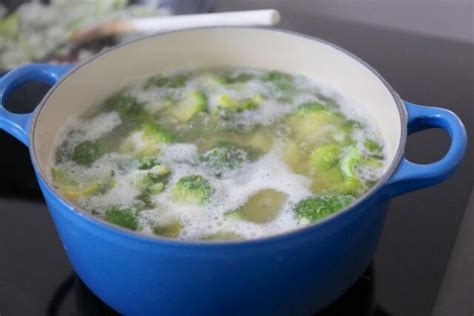 Romige Ovenschotel Met Kip En Broccoli Lekker En Simpel