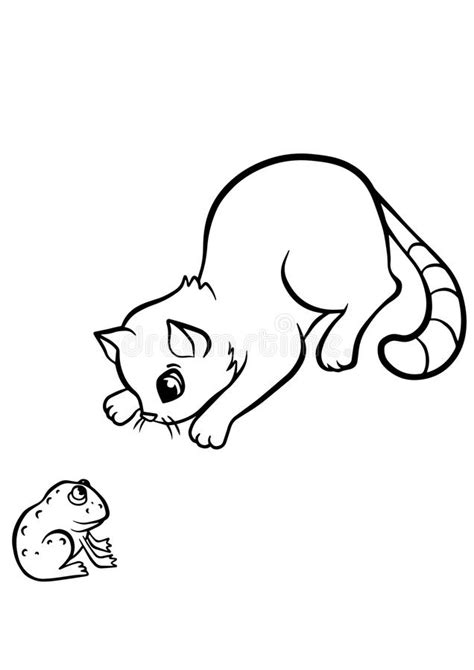 Coloring Pages Animals Little Cute Cat Stock Vector