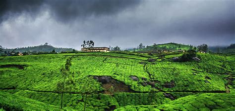 Monsoon Season In Munnar By Vidhu Photography