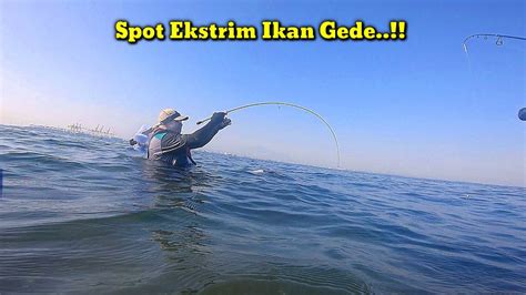 Jarang Ada Yang Berani Mancing Kesini Padahal Ikannya Gede Gede Youtube