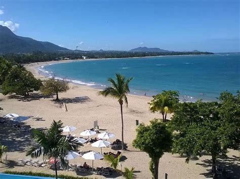 beachfront-studio-in-playa-dorada-puerto-plata-best-location,-no-extra-charges-playa-dorada