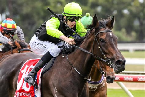 Realm Of Flowers blooms in SA Fillies' Classic - Racenet