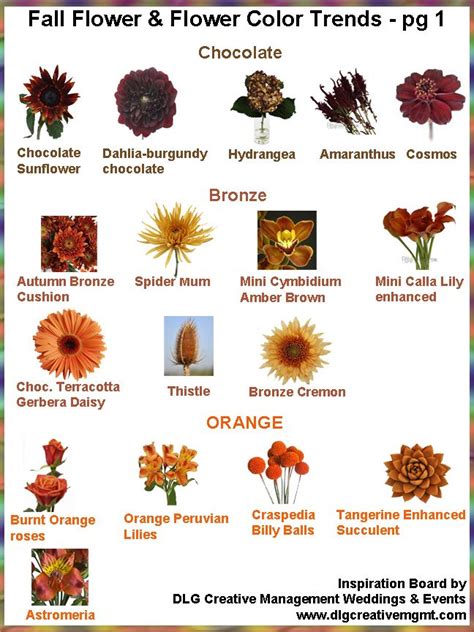 trends in fall flowers and colors for fall flowers to see learn more visit dlgcr