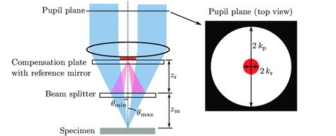 8 Schematic Illustration Of A Mirau Interferometer With Its Reference