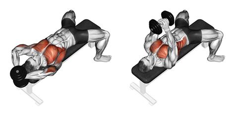 How To Do The Dumbbell Pull Over For Big A Wide Back And Chest Muscle