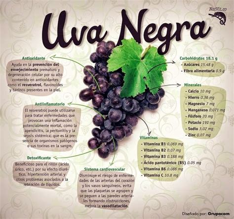 10 Infografías Interesantes Sobre Uvas Vinopack
